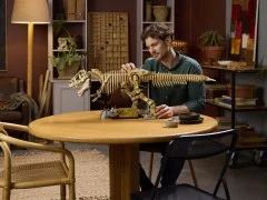 Dinosaur Fossils: Tyrannosaurus Rex - View 8