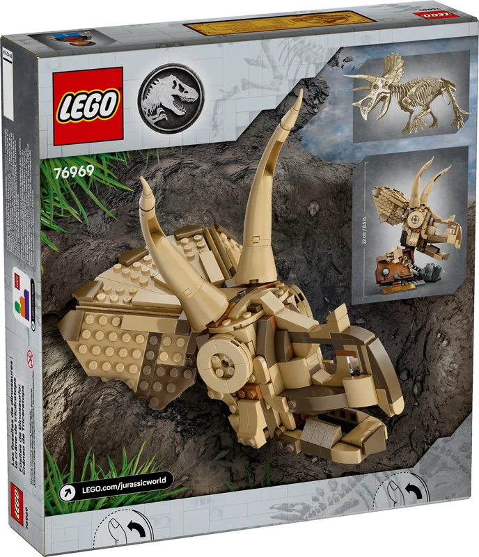 Dinosaur Fossils: Triceratops Skull - View 2