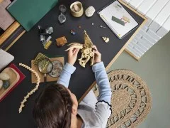 Dinosaur Fossils: Triceratops Skull - View 4