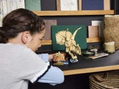 Dinosaur Fossils: Triceratops Skull - View 5
