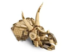 Dinosaur Fossils: Triceratops Skull - View 8
