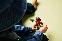 Baby Dinosaur Dolores: Aquilops - View 8