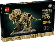 Dinosaur Fossils: Triceratops - View 2