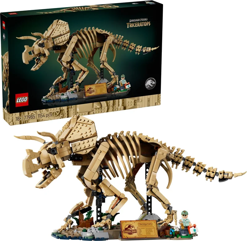 Dinosaur Fossils: Triceratops - View 3