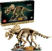 Dinosaur Fossils: Triceratops - View 3