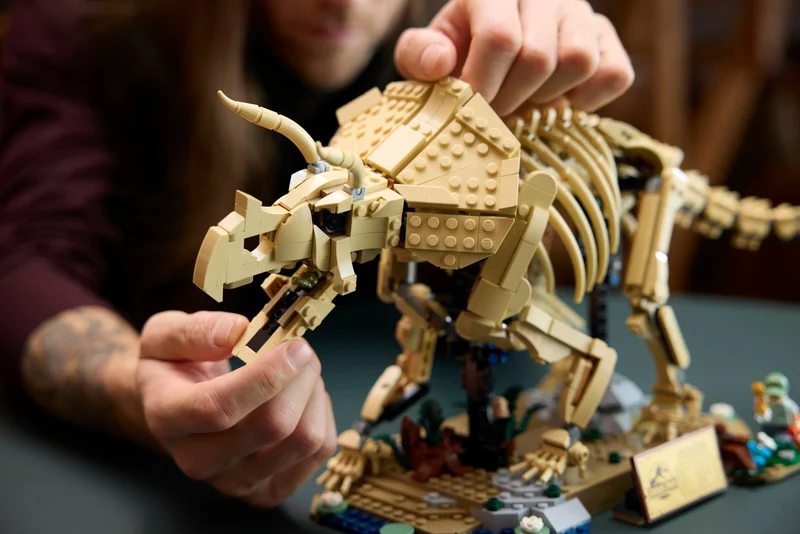 Dinosaur Fossils: Triceratops - View 7