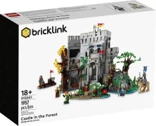 Castle in the Forest - View 3