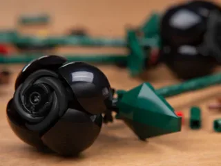 LEGO EG00151-1 2x Black Roses — 128 pieces, Other theme
